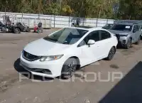2013 Honda CIVIC фото