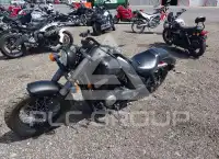 2013 Honda VT750 photo
