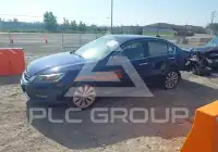 2013 Honda Accord photo