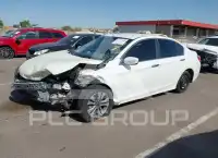 2013 Honda Accord photo