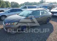 2013 Honda Accord photo