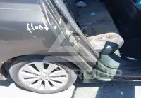 2013 Honda Accord фото