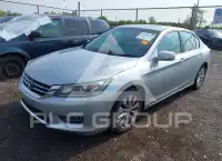 2013 Honda Accord photo