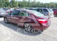 2013 Honda Accord photo