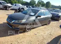 2013 Honda Accord photo