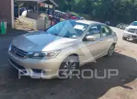 2013 Honda Accord photo
