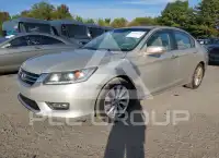 2013 Honda Accord photo