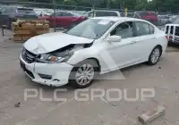 2013 Honda Accord photo