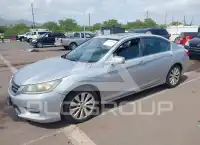 2013 Honda Accord photo