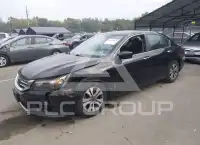 2013 Honda Accord фото