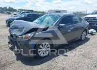 2013 Honda Accord photo