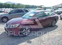 2013 Honda Accord photo