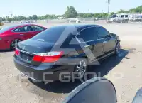 2013 Honda Accord photo