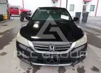 2013 Honda Accord фото