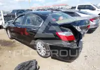 2013 Honda Accord фото