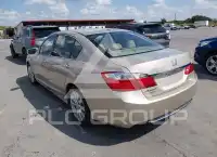 2013 Honda Accord photo