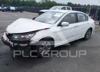 2013 Honda Accord photo