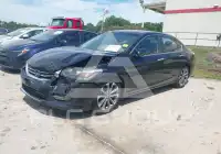 2013 Honda Accord photo