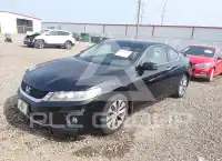 2013 Honda Accord фото