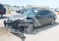 2013 Honda Accord фото