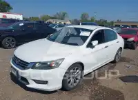2013 Honda Accord photo