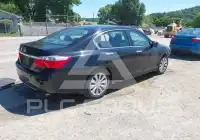 2013 Honda Accord photo