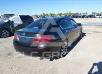 2013 Honda Accord photo