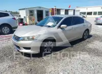 2013 Honda Accord фото