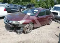 2013 Honda Accord фото