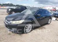 2013 Honda Accord photo