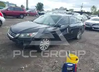 2013 Honda Accord photo