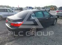 2013 Honda Accord photo
