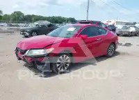 2013 Honda Accord фото