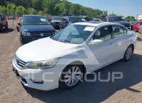 2013 Honda Accord photo