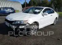 2013 Honda Accord фото