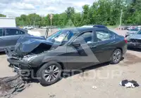 2013 Honda Accord photo