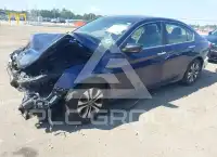 2013 Honda Accord photo
