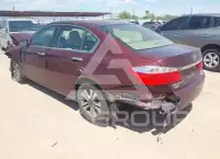 2013 Honda Accord photo