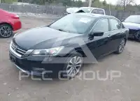 2013 Honda Accord photo