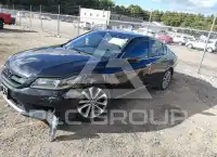2013 Honda Accord photo
