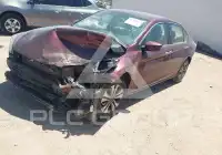 2013 Honda Accord photo