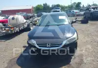 2013 Honda Accord photo
