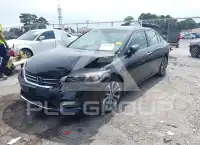 2013 Honda Accord photo