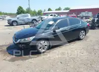 2013 Honda Accord photo