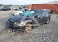 2013 Honda Accord photo