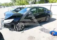 2013 Honda Accord photo