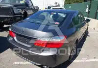 2013 Honda Accord photo