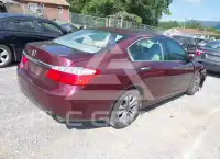 2013 Honda Accord photo
