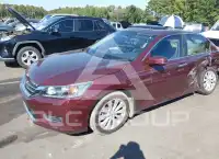 2013 Honda Accord photo