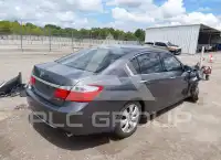 2013 Honda Accord photo